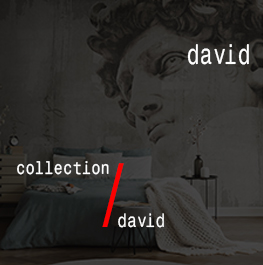 david / david