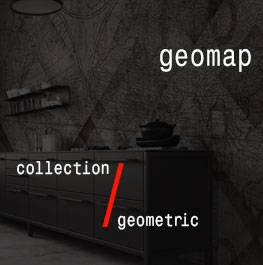 geometric / geomap