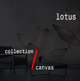 canvas / lotus