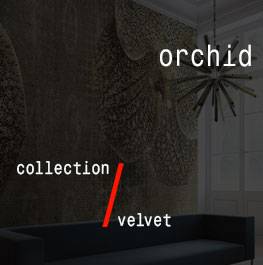 velvet / orchid