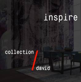 david / inspire