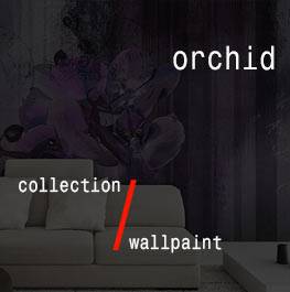 wallpaint / orchid