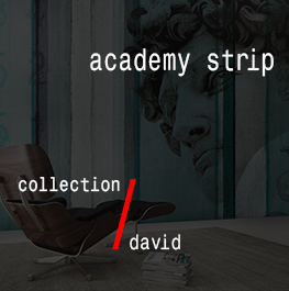 david / academy strip