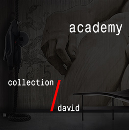 david / academy