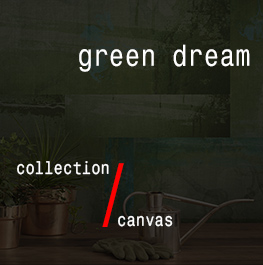 canvas / green dream