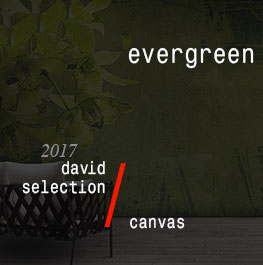 canvas / evergreen