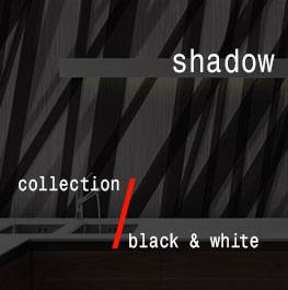 black & white / shadow