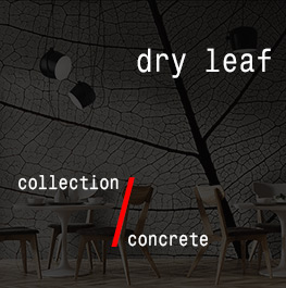 concrete / dry leaf