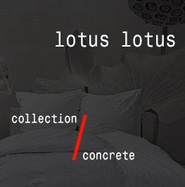 concrete / lotus lotus