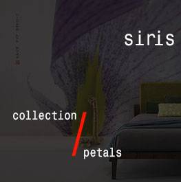 petals / siris