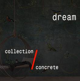 concrete / dream