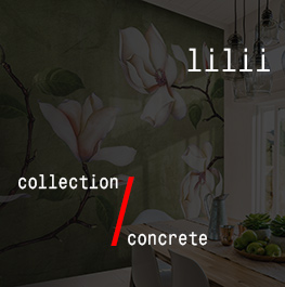 concrete / lilii