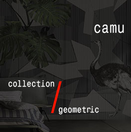 geometric / camu