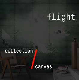 canvas / flight