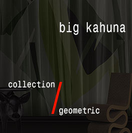 geometric / big kahuna