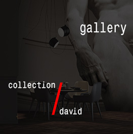 david / gallery