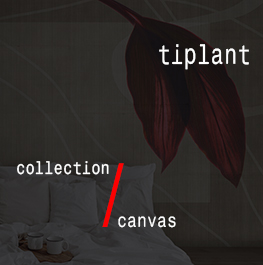 textile / tiplant