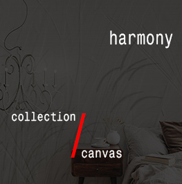 canvas / harmony