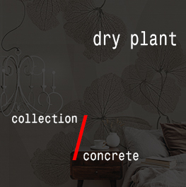 concrete / dry plant